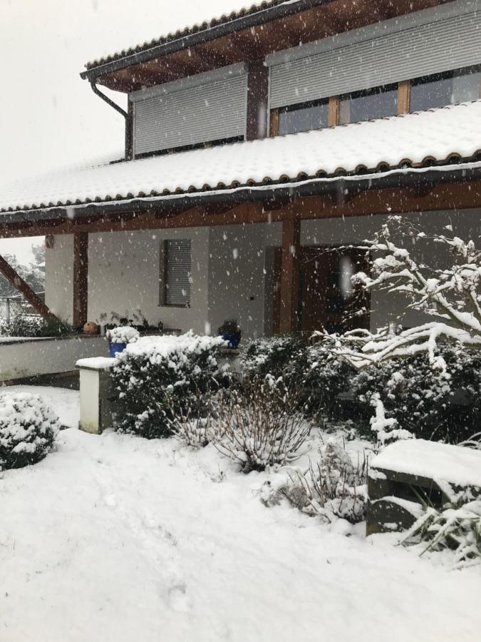 Apartament Haus Greti Magre all' Adige Zewnętrze zdjęcie